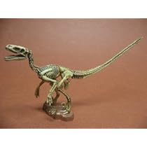 Amazon | UHA味覚糖 チョコラザウルス 恐竜・古代生物フィギュア